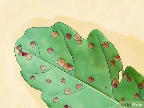 Image titled Get Rid of Aphids Step 3