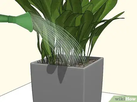 Image titled Prevent Spider Mites on Houseplants Step 1