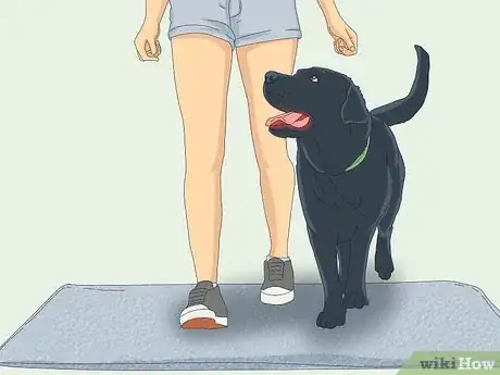 Image titled Teach Your Dog to Heel Step 6