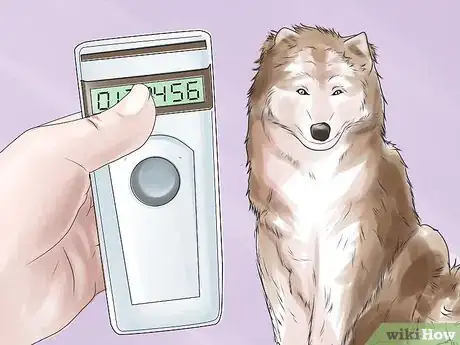 Image titled Inject a Microchip Into a Pet Step 4