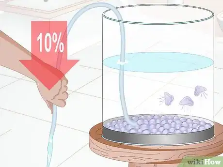 Image titled Start a Jellyfish Tank Step 16