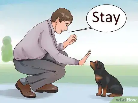 Image titled Train Your Rottweiler Puppy With Simple Commands Step 12