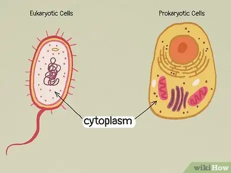 Image titled What Do All Cells Have in Common Step 2