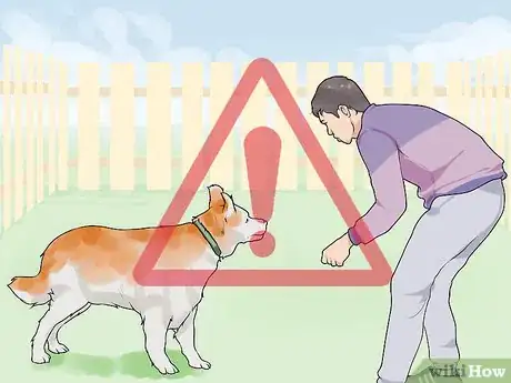 Image titled Gain Trust in an Aggressive Dog Step 14