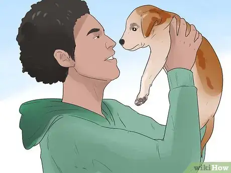 Image titled Teach a Puppy Its Name Step 1