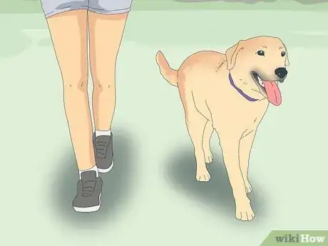 Image titled Teach Your Dog to Heel Step 8