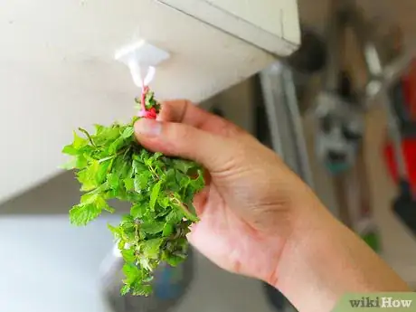 Image titled Make Mint Tea Step 15