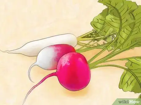 Image titled Grow Radishes Step 1