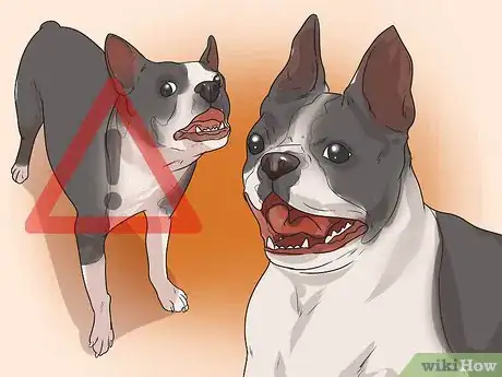 Image titled Train a Bully Breed Dog Step 13