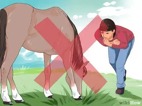 Image titled Approach Your Horse Step 17