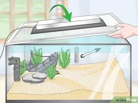 Image titled Set up a Tropical Freshwater Aquarium Step 13