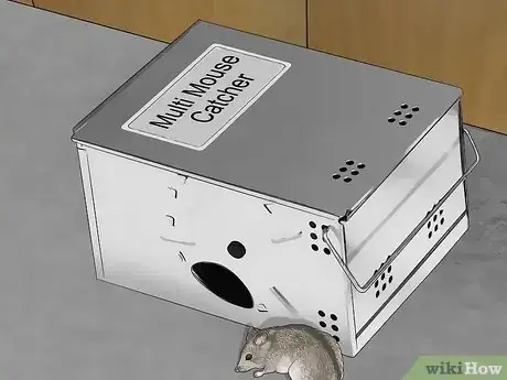 Image titled Get Rid of Mice Fast Step 1