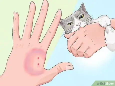 Image titled Know if a Pet Bite Is Serious Step 8