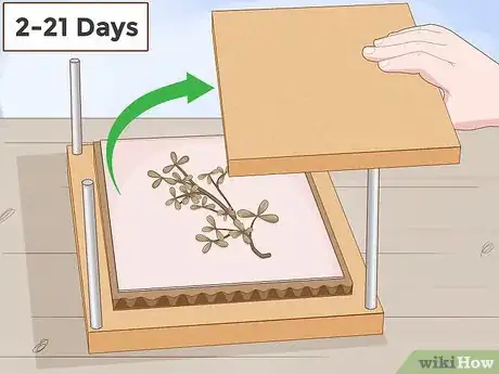 Image titled Make a Herbarium Step 10