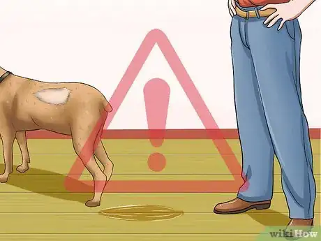 Image titled Determine if a Dog Is Dehydrated Step 8