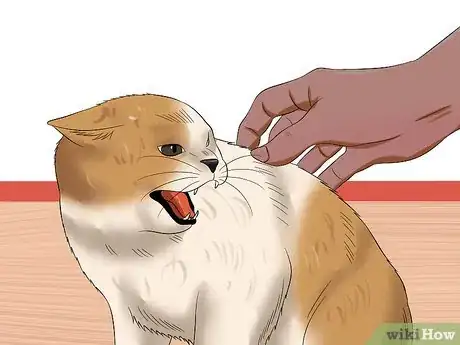 Image titled Tell if a Cat Is in Pain Step 6