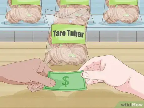 Image titled Grow Taro Step 1