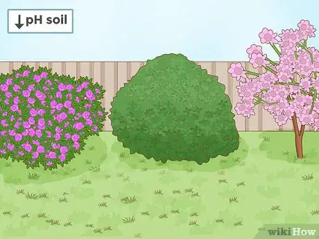 Image titled Lower Soil pH Step 11