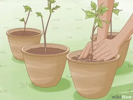 Image titled Propagate Your Plants Step 4