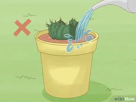 Image titled Grow a Cactus Step 10