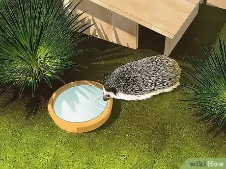 Image titled Encourage Hedgehogs to Your Garden Step 4