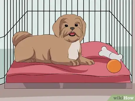 Image titled Train Your Shih Tzu Step 5