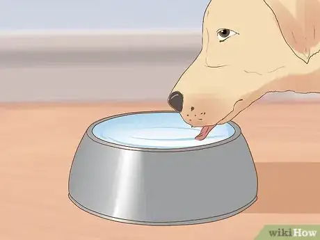 Image titled Encourage a Mother Dog to Feed Her Litter Step 11