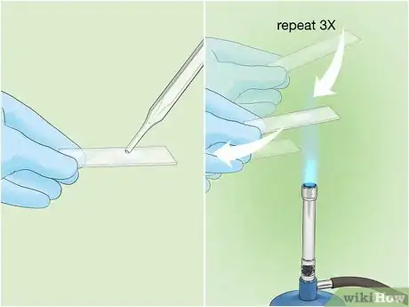 Image titled Identify Bacteria Step 3