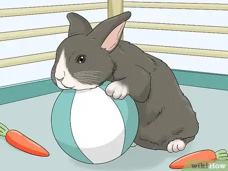 Image titled Stop a Bunny from Chewing Its Cage Step 8