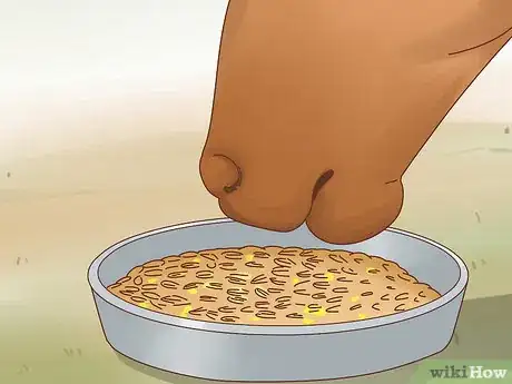 Image titled Take Care of Your Horse Step 11