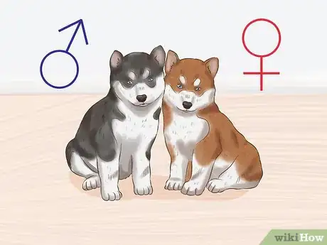 Image titled Choose a Puppy to Keep from Your Litter Step 7