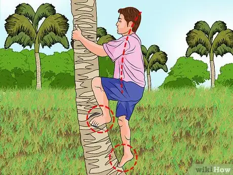 Image titled Climb a Palm Tree Step 5