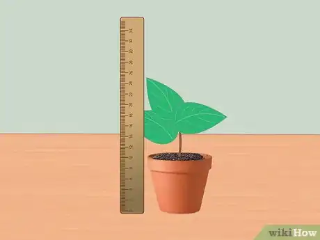 Image titled Measure Growth Rate of Plants Step 1