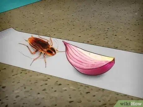 Image titled Trap Cockroaches Step 1