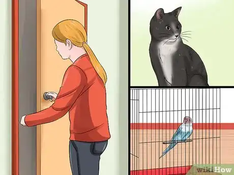 Image titled Stop Cats from Getting Birds Step 12