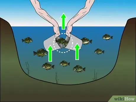 Image titled Fish Without Fishing Gear Step 17