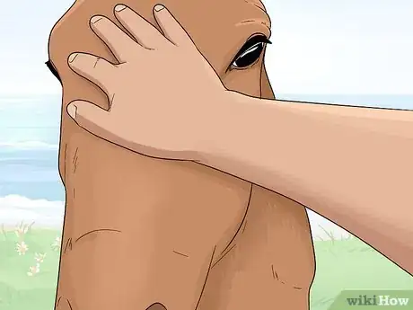 Image titled Tell if a Horse Is Frightened Step 17