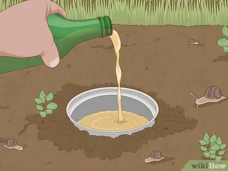 Image titled Get Rid of Snails Step 1