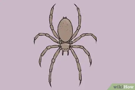 Image titled Draw a Spider Step 18