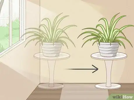 Image titled Care for a Spider Plant Step 11