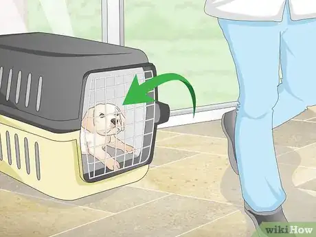 Image titled Potty Train Small Dogs Step 13