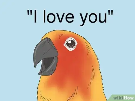 Image titled Teach a Conure to Talk Step 5