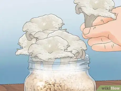 Image titled Grow Hydroponic Mushrooms Step 13