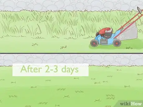 Image titled Prevent Grass from Growing Step 1