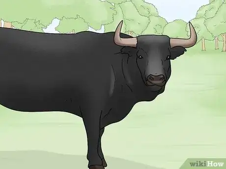 Image titled Avoid or Escape a Bull Step 3