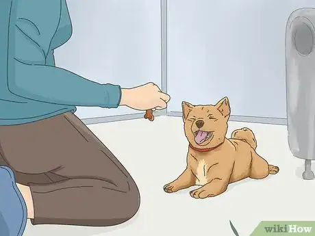 Image titled Get a Puppy to Stop Growling when You Pick Them Up Step 1