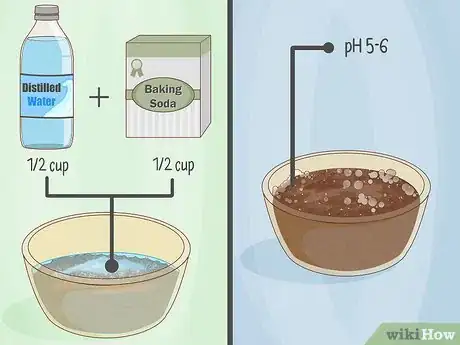 Image titled Do a Home Soil Test Step 12