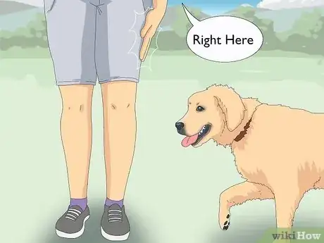 Image titled Teach Your Dog to Heel Step 5