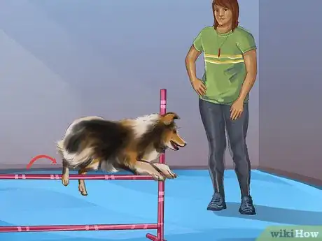 Image titled Train an Australian Shepherd Step 12