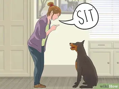 Image titled Teach Your Dog to Herd Step 1